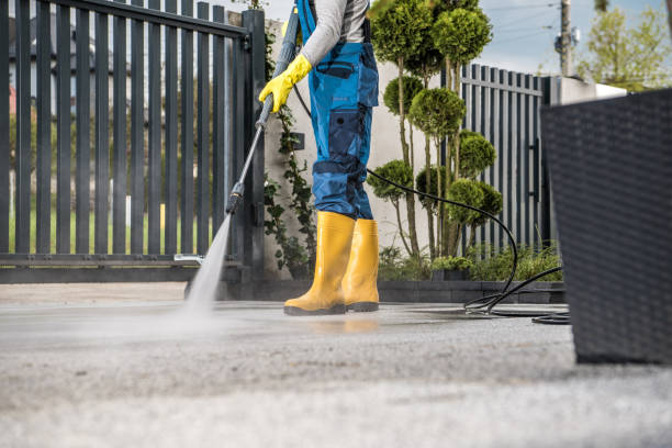 Professional Pressure Washing in Cienega Springs, AZ